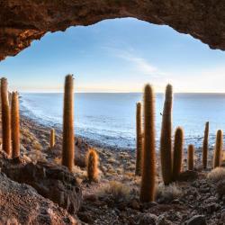 Cave sur l'ile aux cactus Isla Incahuasi du Salar de Uyuni en Bolivie
