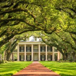 Allée de chênes de la plantation Oak Alley en Louisiane