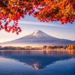 Voyage au Japon