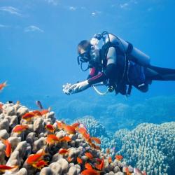 Voyage organisé aux Philippines
