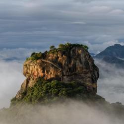 Voyage organisé au Sri Lanka
