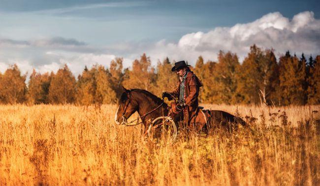 Cowboy du Wyoming