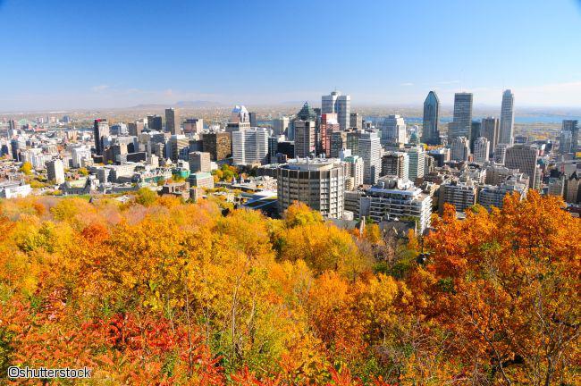 Vue sur la ville de Montréal