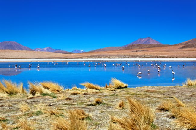 Voyage en petit groupe en Bolivie