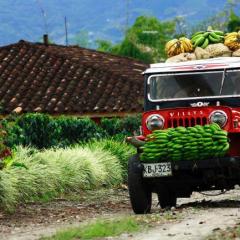 TriangulodelCafe©ProColombia.JPG