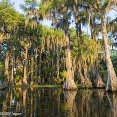 shutterstock_633731507 bayou.jpg