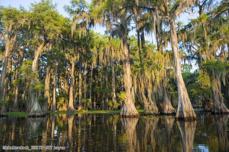 Circuit en voiture en Louisiane à la découverte des plantations, bayous et de la Nouvelle Orleans