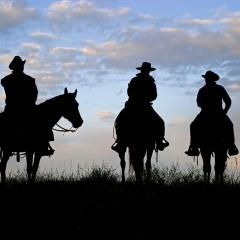 shutterstock_113255605 (1).jpg