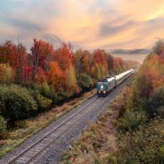 Train automne - Credit Viarail.jpg