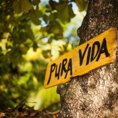 shutterstock_120094981.jpg