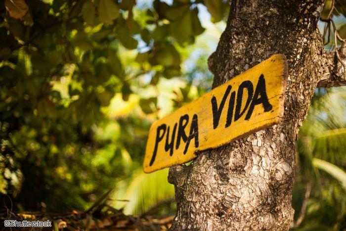 Pura Vida