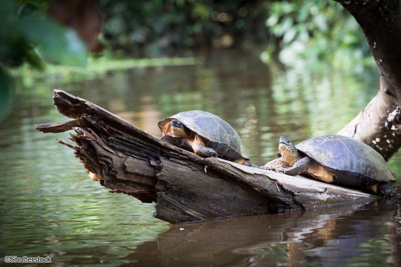 Voyage en petit groupe au Costa Rica