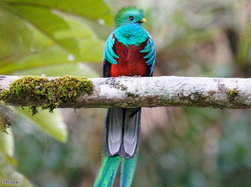 Voyage en petit groupe au Costa Rica