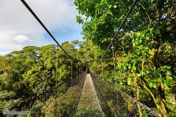 Voyage en petit groupe au Costa Rica