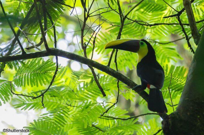 Voyage en petit groupe au Costa Rica