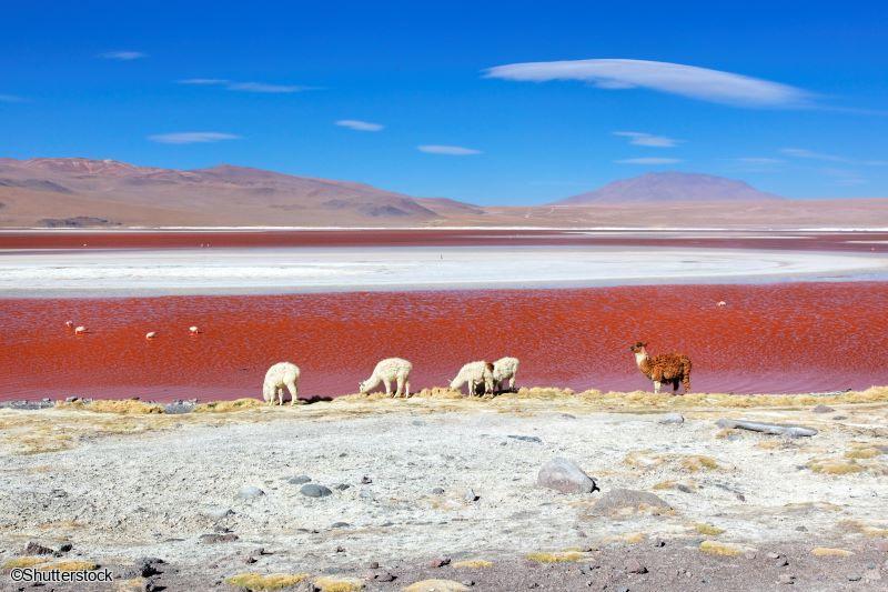 Voyage en petit groupe en Bolivie