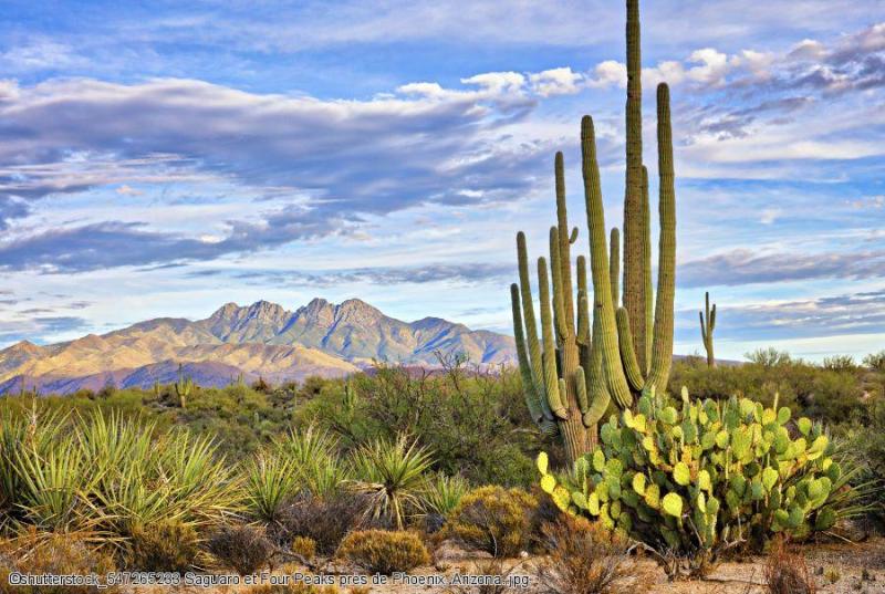 autotour sud ouest arizona et nouveau mexique