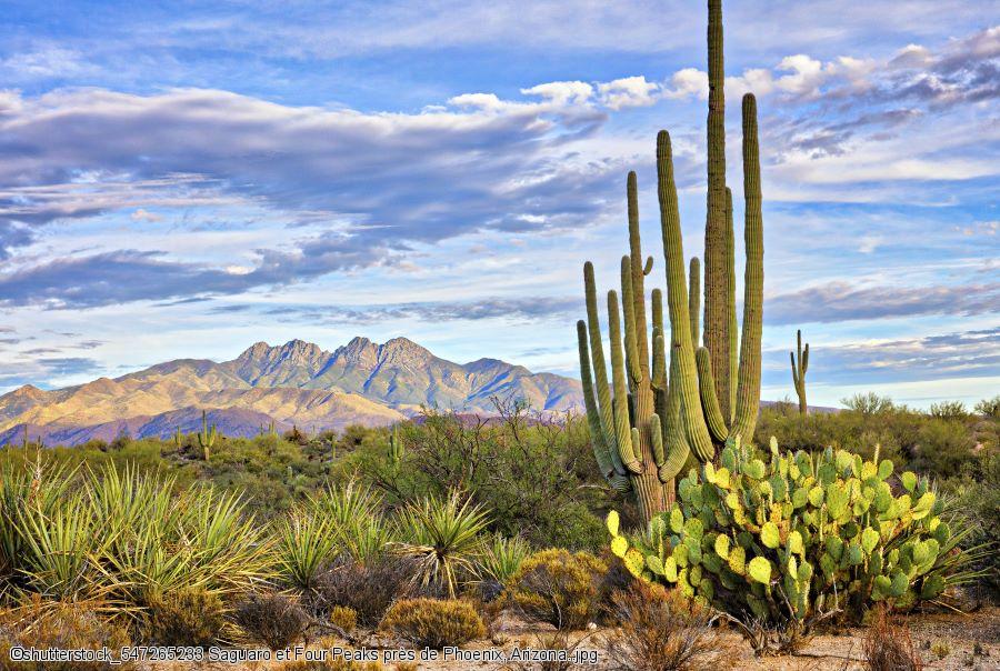 autotour sud ouest arizona et nouveau mexique