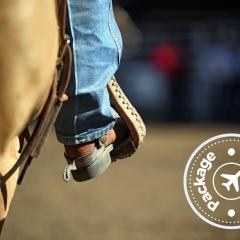 shutterstock_1146169397 stampede calgary.jpg