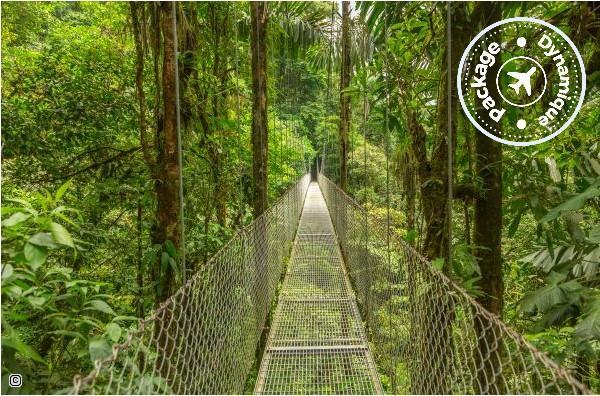 Pont suspendu au Costa Rica 