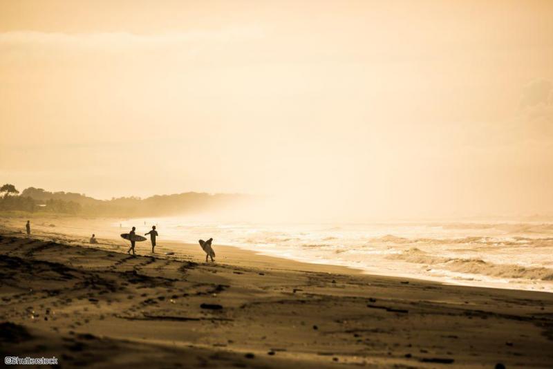 Surfs sur les plages au Costa Rica 