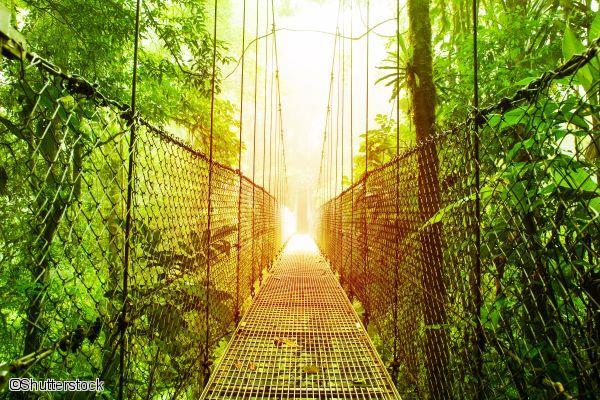 Pont suspendu au Costa Rica 