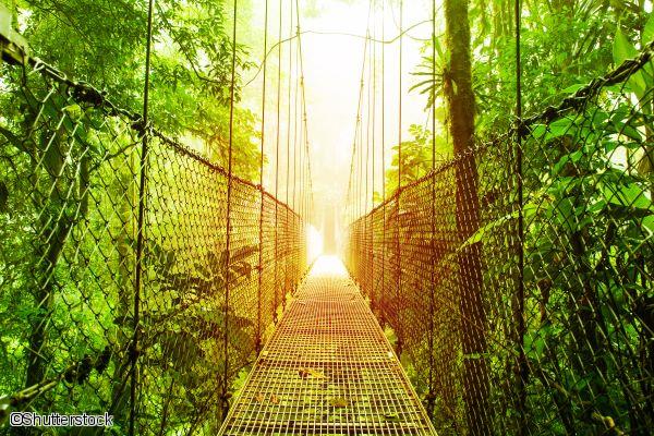 Pont suspendu au Costa Rica 