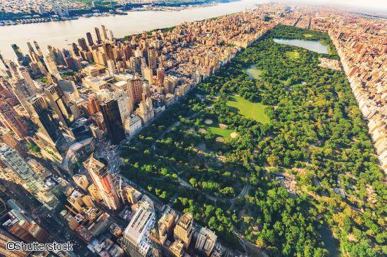 Central Park New York 