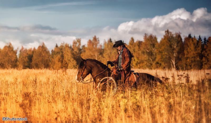Cowboy dans les rocheuses Américaines 