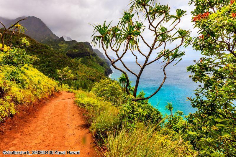 Combiné d'îles Hawaiiennes Oahu, Kauai, Big Island et Maui