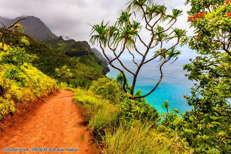 Combiné d'îles Hawaiiennes Oahu, Kauai, Big Island et Maui