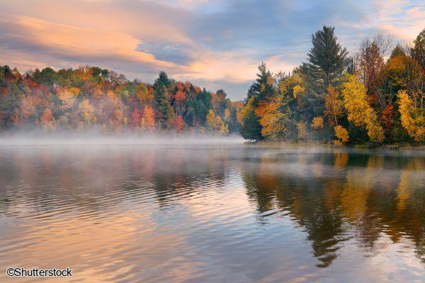 Voyage au Canada au coeur de la Forêt