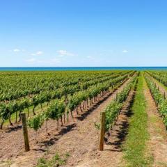 shutterstock_1401635516.jpg
