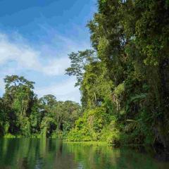 Tortuguero © shutterstock_340552055.jpg