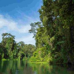 Tortuguero © shutterstock_340552055.jpg