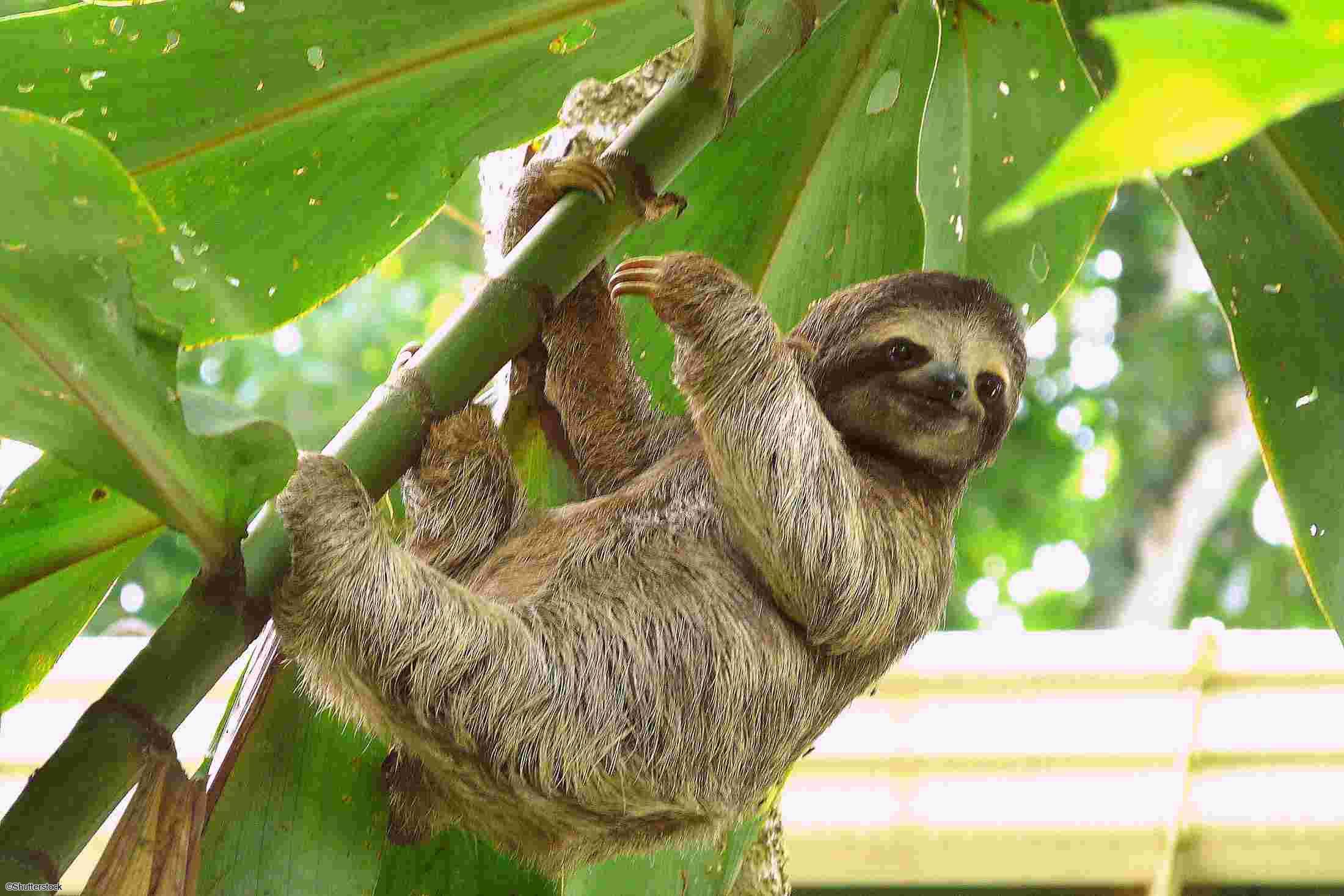 Autotour au Costa Rica