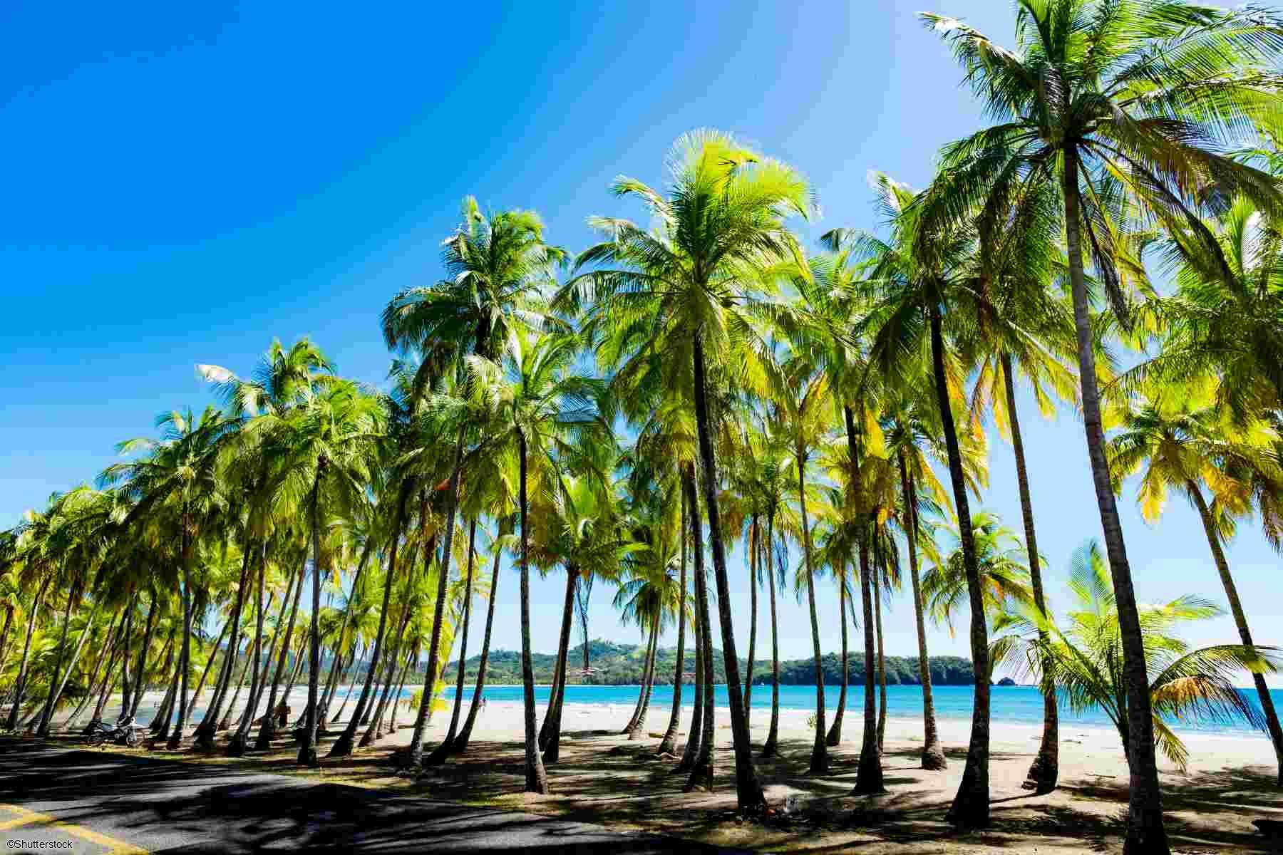 Autotour au Costa Rica