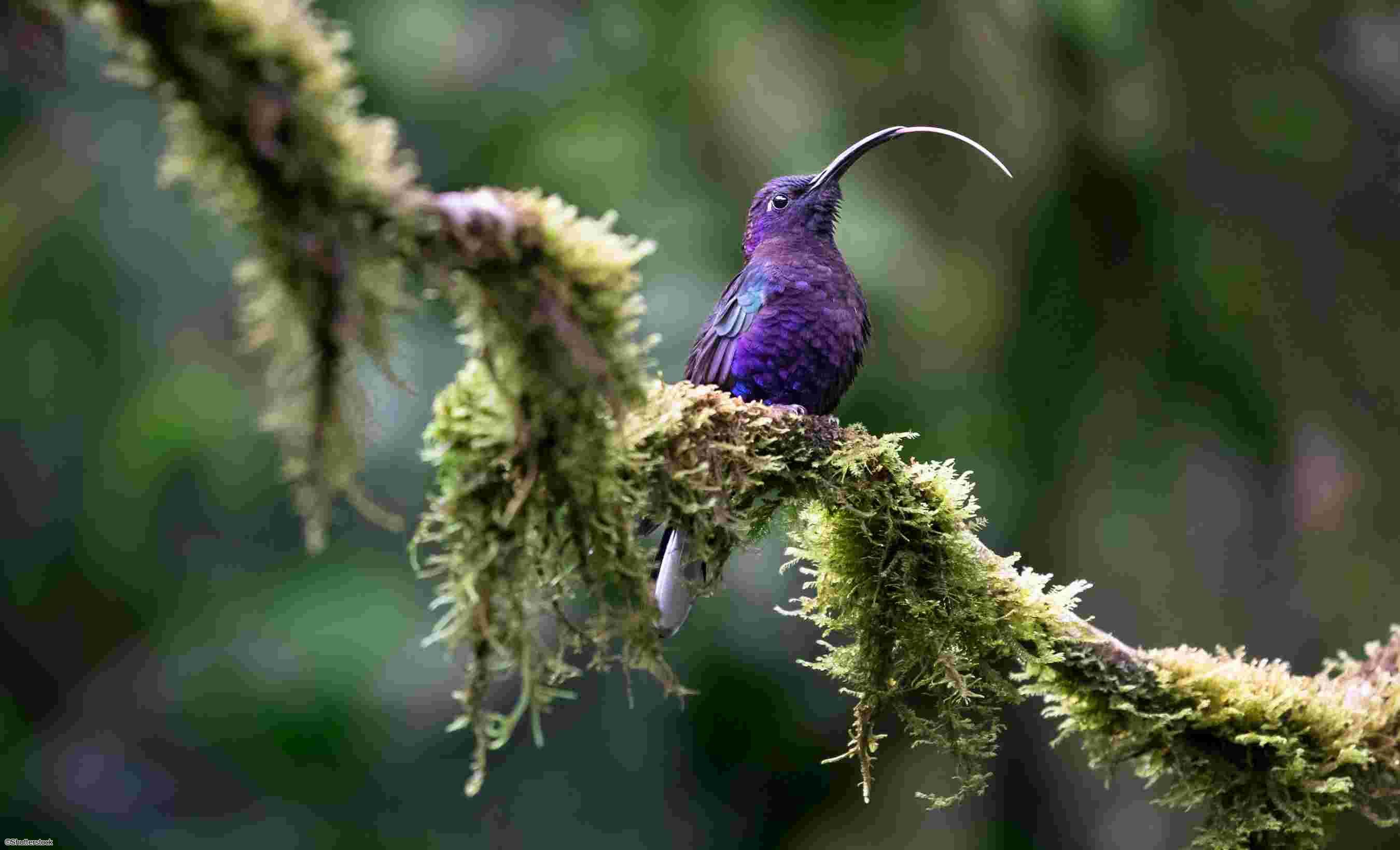 Autotour au Costa Rica