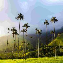 shutterstock_1119021572.jpg