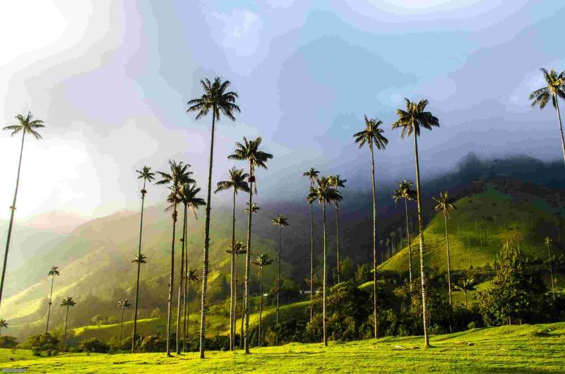Voyage en Colombie