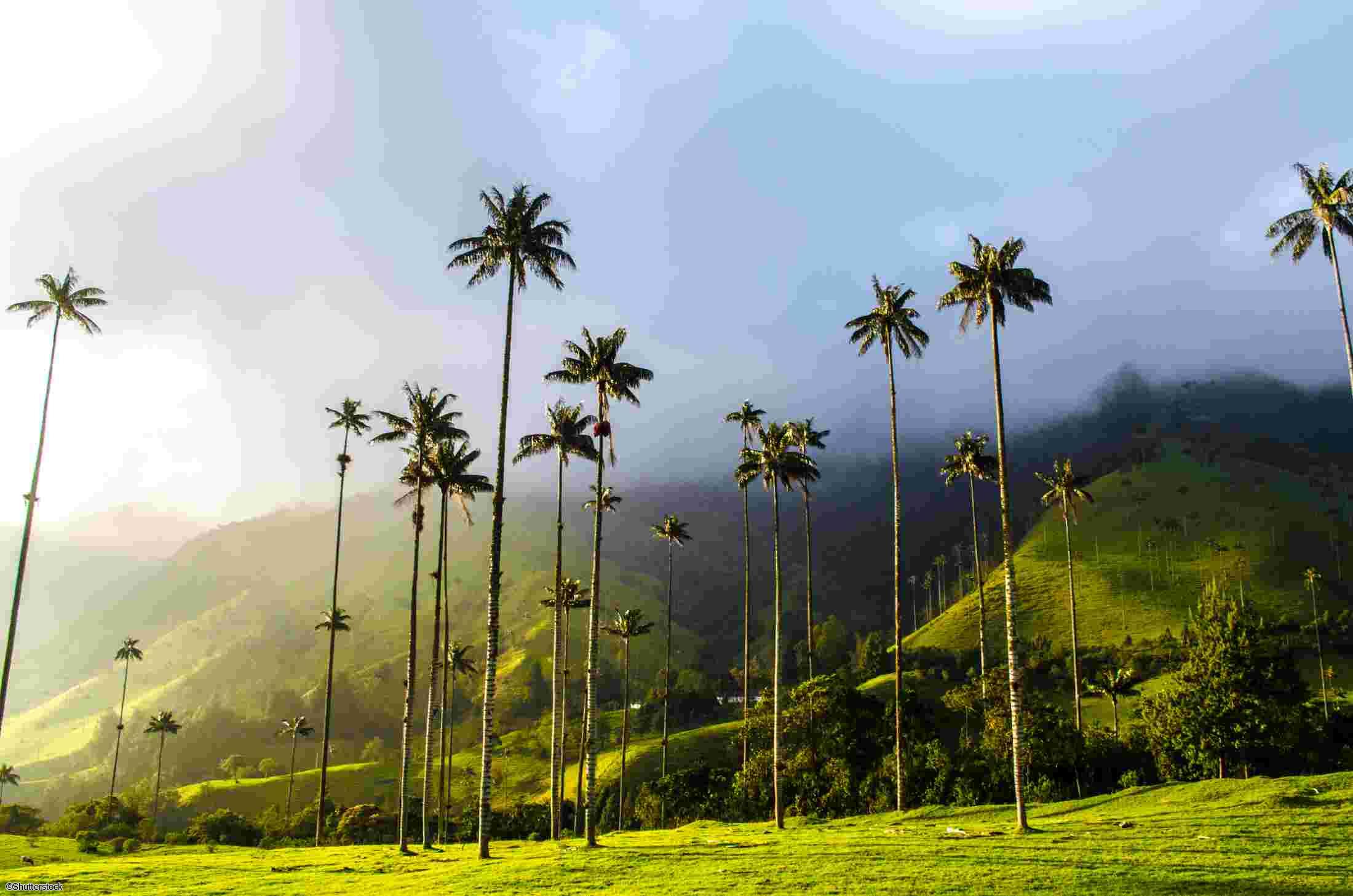 Voyage en Colombie