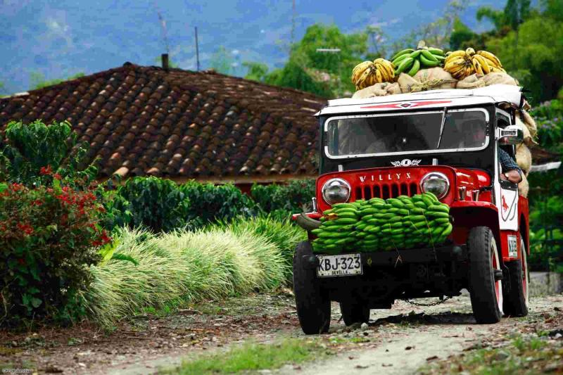 Voyage en Colombie