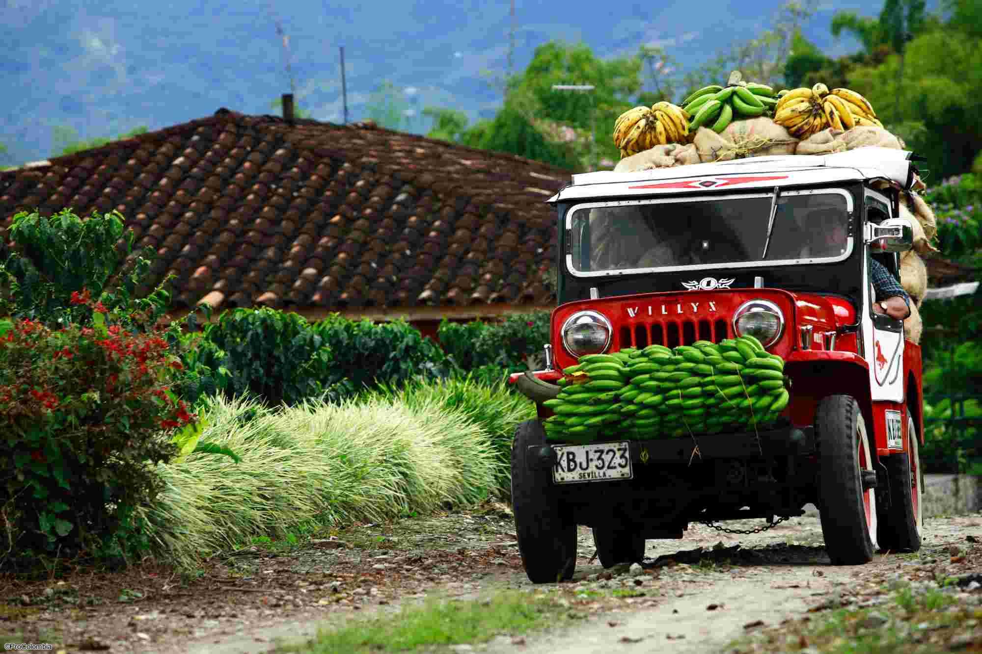 Voyage en Colombie