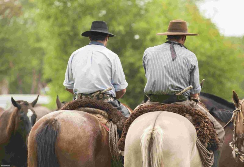 Immersion dans la pampa argentine et tradition gaucho Deux gauchos en tenue traditionnelle à cheval dans la pampa argentine