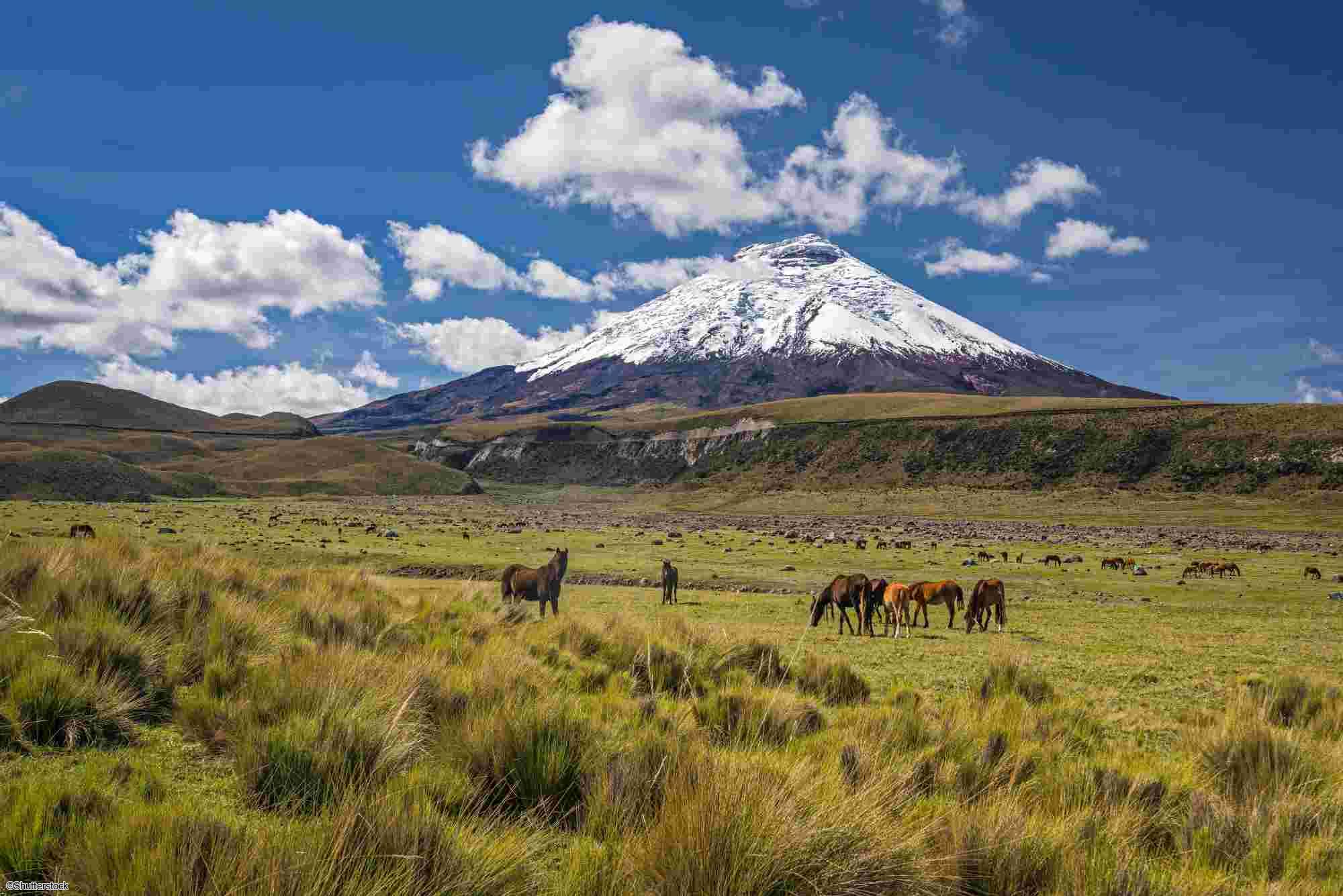 Voyage en Equateur