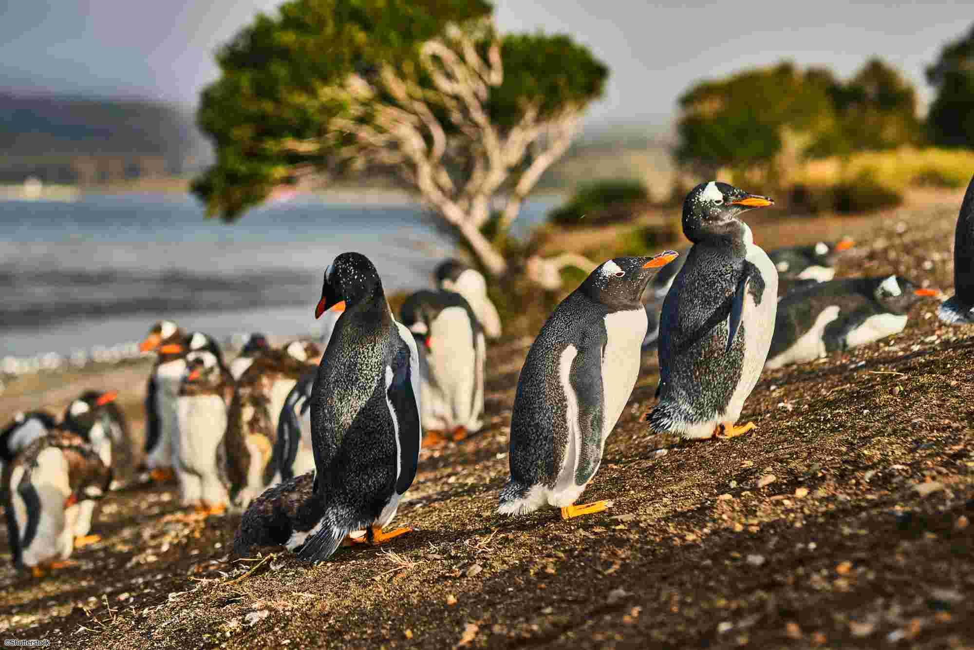 Voyage en Argentine et au Chili