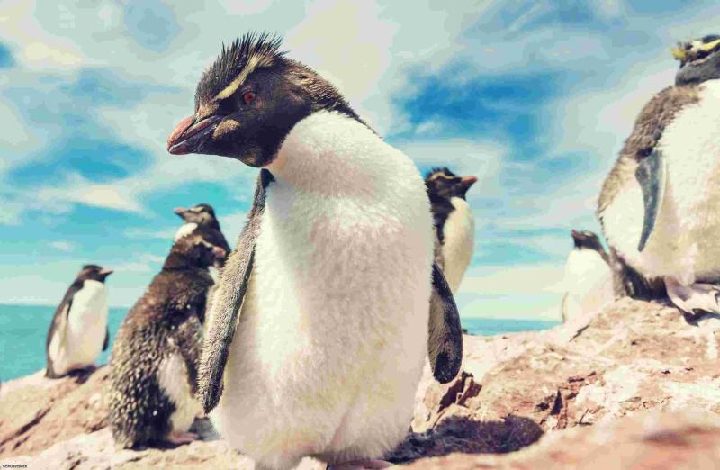 Voyage en Argentine et au Chili
