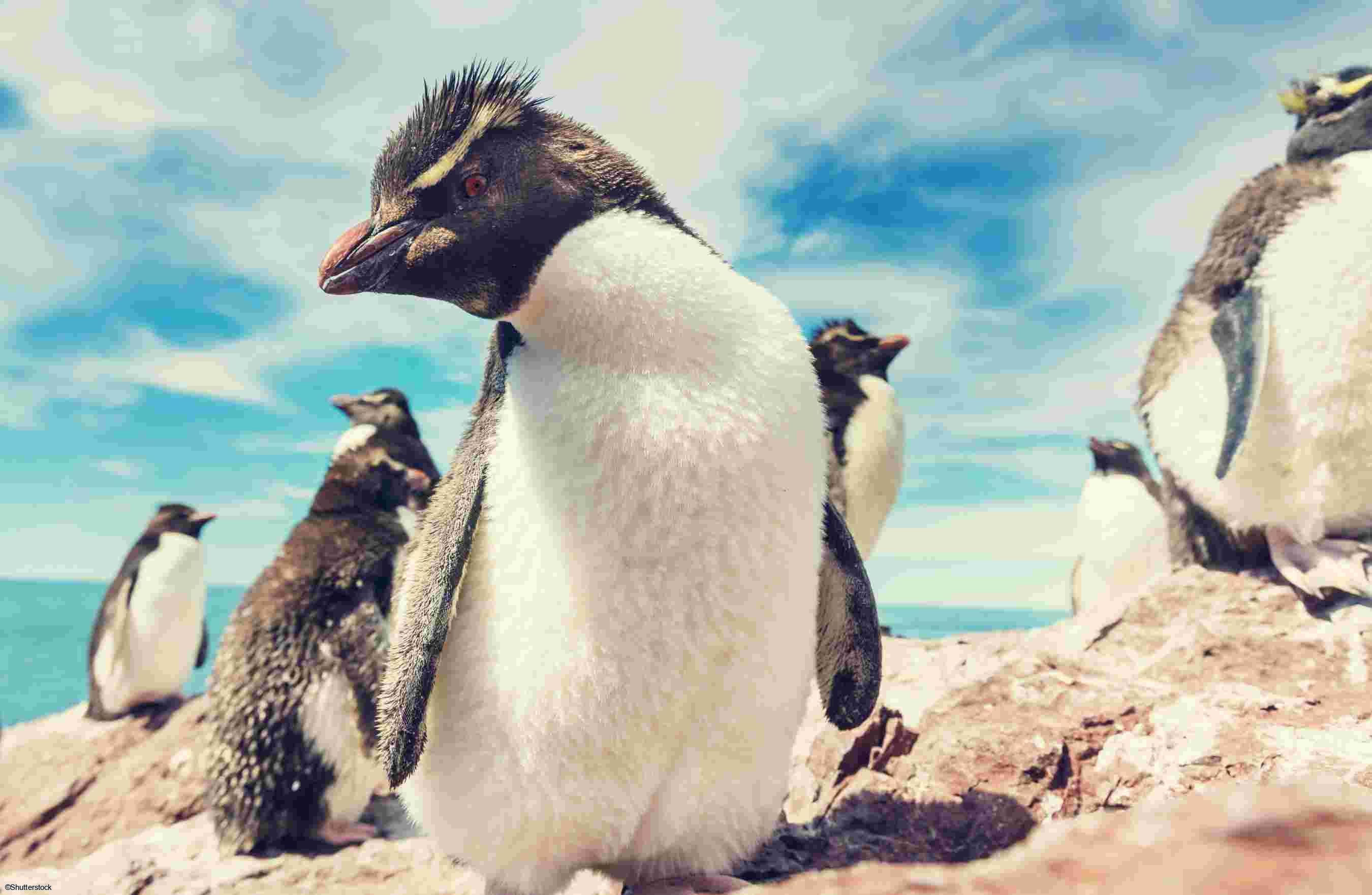 Voyage en Argentine et au Chili