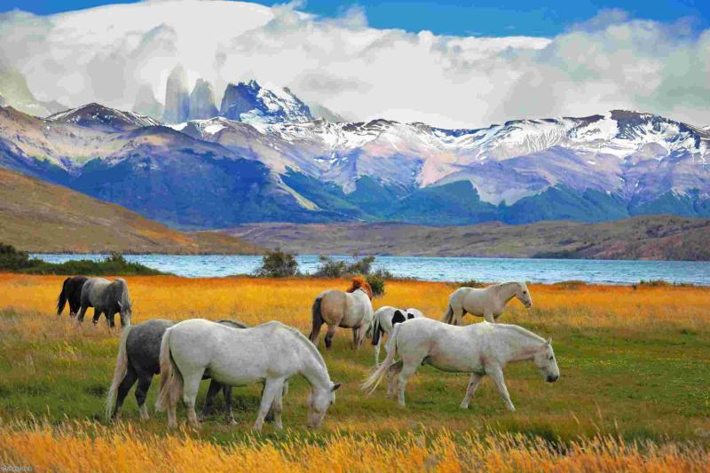 Voyage en Argentine et au Chili