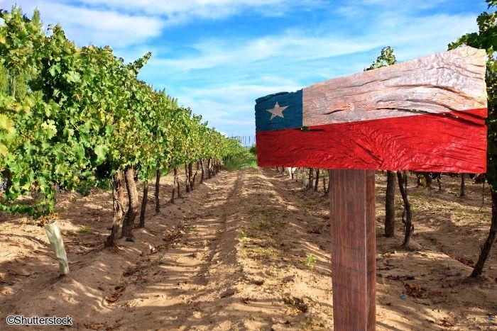 Voyage en petit groupe au Chili